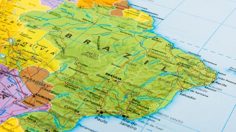 tipos de vegetação por região do Brasil